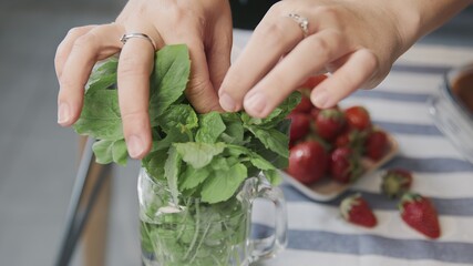 Cooking tiramisu cake at home. Close up of woman tears off a mint leafs to places it on top of a...