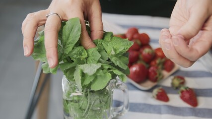 Cooking tiramisu cake at home. Close up of woman tears off a mint leafs to places it on top of a beautiful tiramisu cake