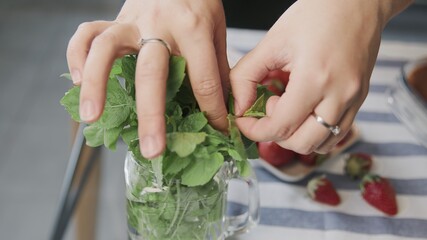 Cooking tiramisu cake at home. Close up of woman tears off a mint leafs to places it on top of a...