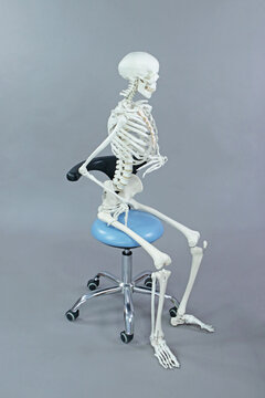 Dentist or dental assistant in sitting, position on mobile chair - human skeleton model  -  occupational disease concept