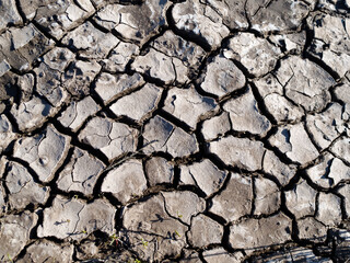 Dried and cracked mud near to the beach at Talacre, North Wales on a hot day