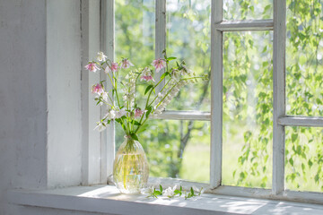 summer flowers in vase on windowsill in sunlight