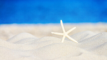 Fototapeta na wymiar Starfish on a sandy beach, concept of a summer holiday or vacation, beach tourism. Background with space for text