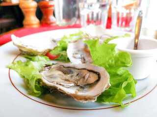 Delicious oyster appetizers and sauces