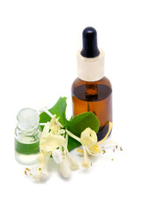 Lonicera caprifolium, honeysuckle flower essential oil (remedy, extract) 