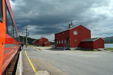 Obraz premium Views from the train window. Mountain tundra of Central Norway. Railway travel in Norway.The Bergen - Oslo train.