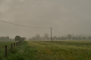 Cultivated field with electric poles in the fog.