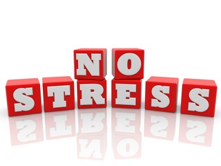 NO STRESS concept on red toy blocks