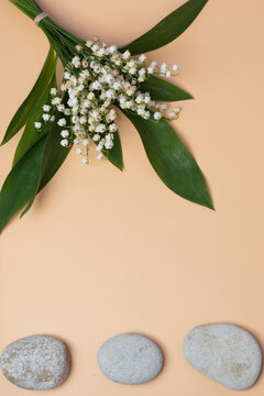 Bouquet of lilies of the valley, still life on an orange background