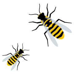 cute wasps flat vector isolated on white