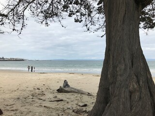 Monterey - Strand