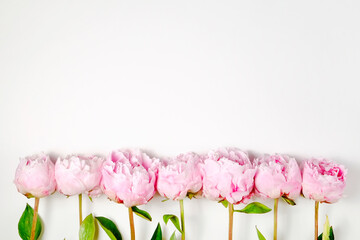Studio shot of beautiful peony flowers over textured background with a lot of copy space for text. Feminine floral composition. Close up, top view, backdrop, flat lay. © Evrymmnt