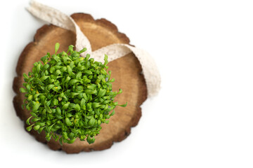 Cress placed on a piece of wood photographed from above on a white background