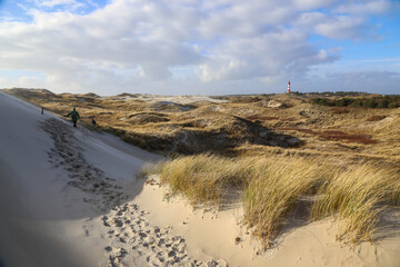 Lighthouse amidst marram grass and sand dunes in Amrum, North frisian island in Schleswig Holstein, Germany