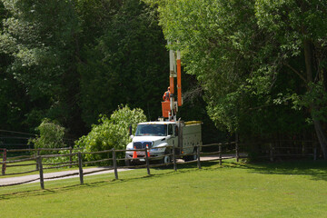Service truck with lift boom up repairs fallen tree on hydro electricity wires © Carol Hamilton