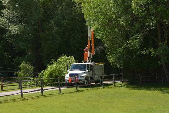 Service Truck With Lift Boom Up Repairs Fallen Tree On Hydro Electricity Wires