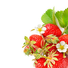 Strawberries Isolated on a white background. Free space for text.