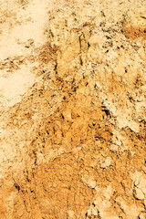 Seamless texture - clay soil for your design