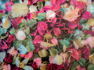 rose petals background