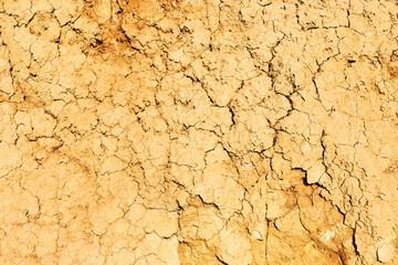 Seamless texture - clay soil for your design