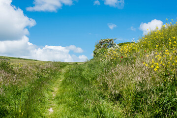 hiking trail in the countryside
