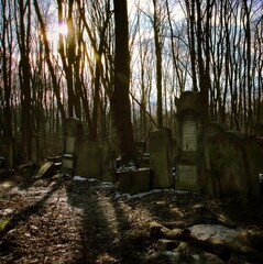 stary cmentarz żydowski