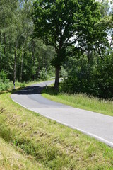 Eifelstraße im Frühsommer