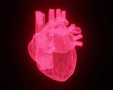 Wireframe mesh system Heart on black background. Concept of health care technology, graphic of heart covered by grid. 3d illustration