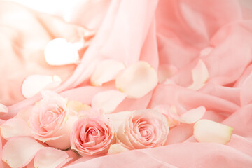 pink rose flowers on soft silk - wedding, holiday and floral background styled concept, elegant visuals