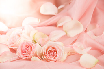 Plakat pink rose flowers on soft silk - wedding, holiday and floral background styled concept, elegant visuals