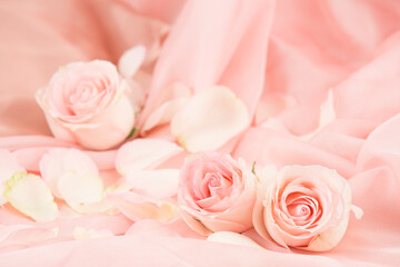 Plakat pink rose flowers on soft silk - wedding, holiday and floral background styled concept, elegant visuals