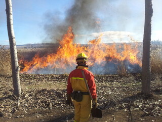 Obraz premium Apagafuegos