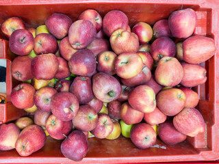 Red apples in a pallet on a counter in a supermarket store. Fruit is a source of useful elements and vitamins. A healthy product in the daily diet of vegetarians and people.