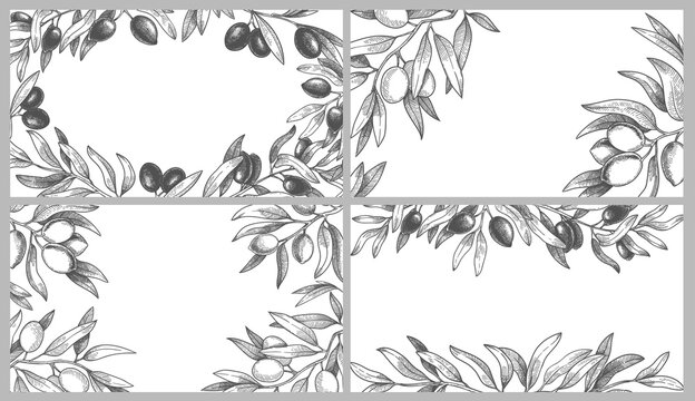 Engraved olive branches frames. Black olives on branch with leaves, greek spa frame and hand drawn sketch with natural products. Organic plant with foliage vector illustration set.
