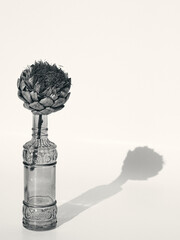 artichoke in glass bottle on white background