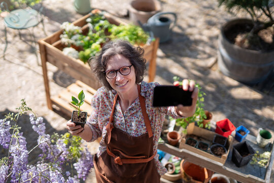 A middle-age gardener woman in her garden, she makes a selfie by holding a plant in her hand in front of her wooden planters on her terrace.