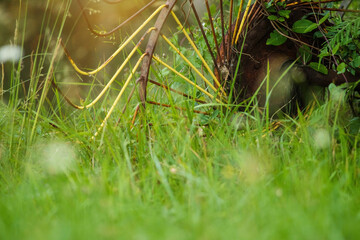 agricultural equipment lying by a road