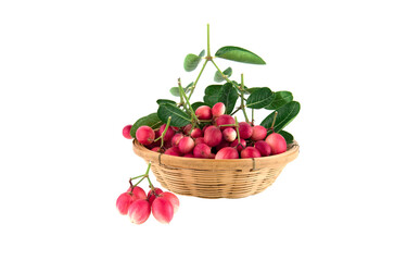 Koromcha fruits isolated on white background