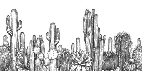 Hand drawn cactuses. Sketch cartoon succulent agave, saguaro and prickly leaved pear with . Desert or drought plants, botanical horizontal seamless pattern engraving vector illustration.
