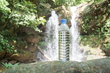 bottle of water in the forest