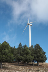 Fototapeta na wymiar Windmill in the field / Ecologic and renewable energy