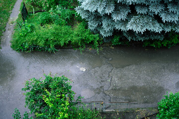Puddles from the rain flow down the street