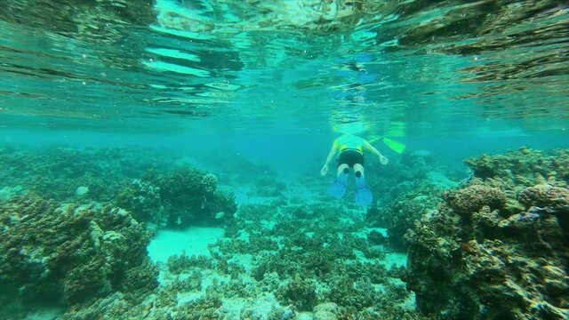 Woman snorkeling over coral reef, Raiatea, French Polynesia