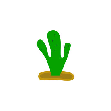Green Cacktus plant, on white