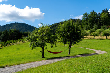 Schwarzwald bei Oberharmersbach