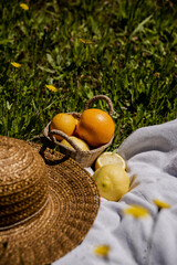 Picnic in a sunny day. Basket with lemons and oranges and a straw hat on the grass.