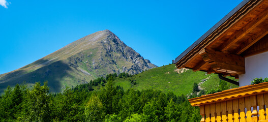 Beautiful nature background. Wonderful springtime landscape in mountains.