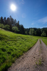 Schwarzwald bei Oberharmersbach