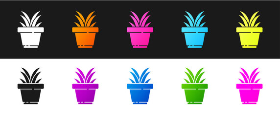 Fototapeta na wymiar Set Flower in pot icon isolated on black and white background. Plant growing in a pot. Potted plant sign. Vector Illustration.