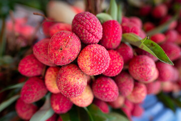 Bunch of ripe lychee or lichi, tropical agriculture product from Thailand. Fruits photo.